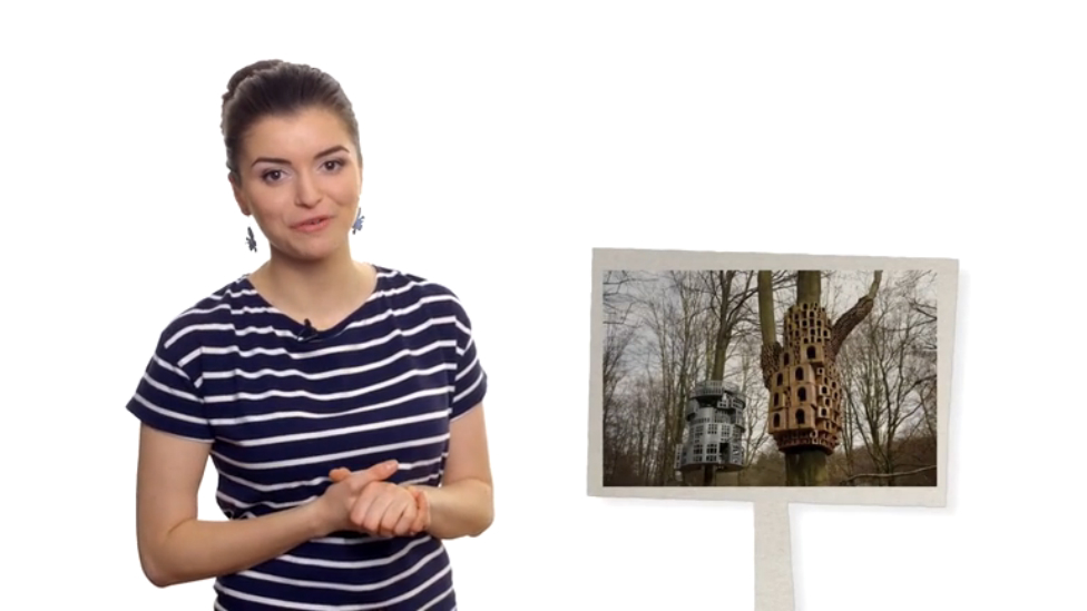 Пока все в танке. Мечтательный выпуск. 2 сезон, №25 смотреть онлайн