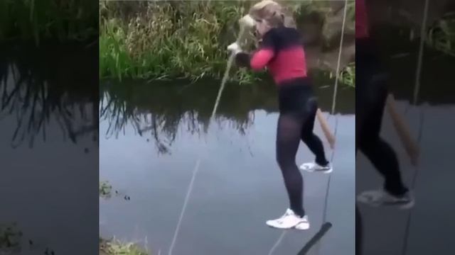 Главное баланс