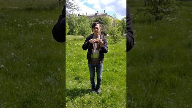 Окарина Ре, каштан, формула субмарины. Ocarina D, submarine. chestnut tree. смотреть онлайн