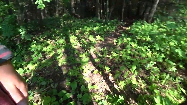 Грибной марафон в Перми.сезон 2022. смотреть онлайн