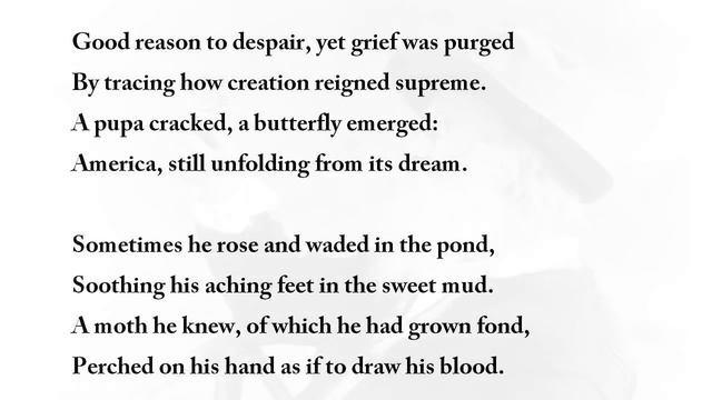 "Whitman and the Moth" by Clive James (read by Tom O'Bedlam) смотреть онлайн