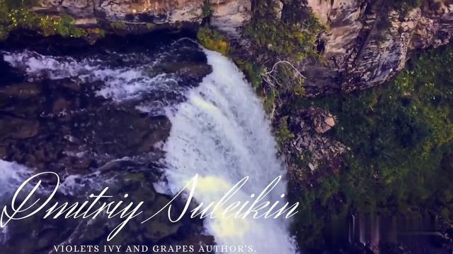 Dmitriy Suleikin Acoustic Instrumental Violets Ivy And Grapes Author's music. смотреть онлайн