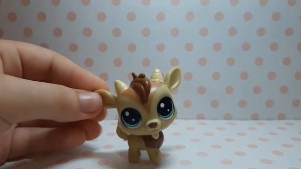 Моя коллекция LPS💖🌈/《LPS Lisa cat》