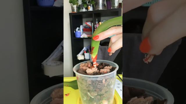 Видео печалька смотреть онлайн