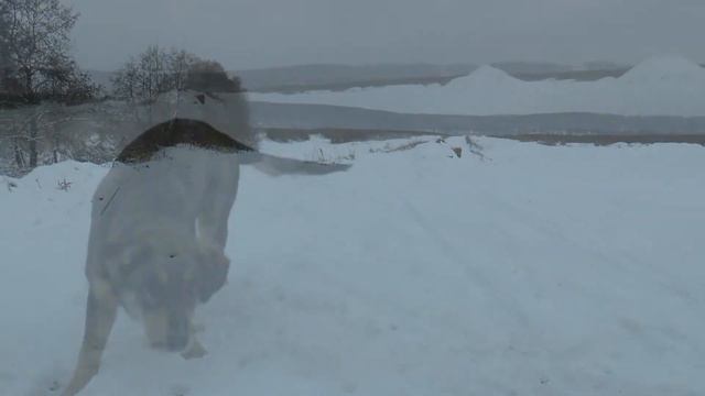 Солнечный остров 4 смотреть онлайн