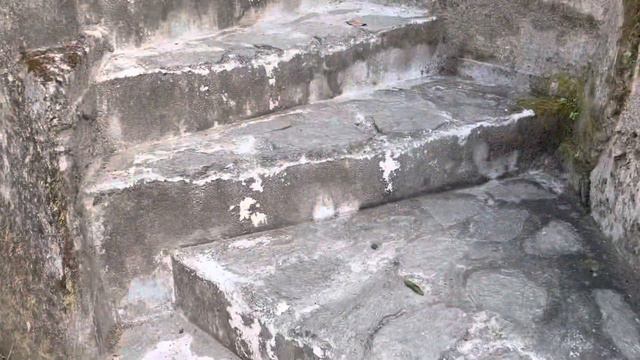 Sunny side Homestay kurseong outer part 2 смотреть онлайн