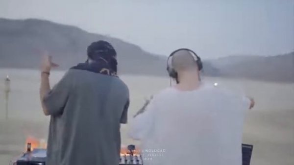 Sting - Desert Rose. #sting #desert #rose #desertrose #desert_rose