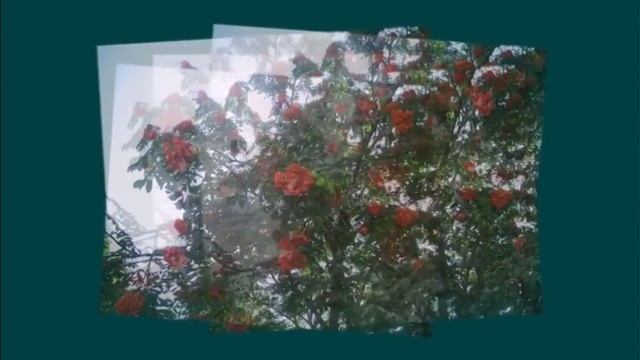 Край рябиновый смотреть онлайн