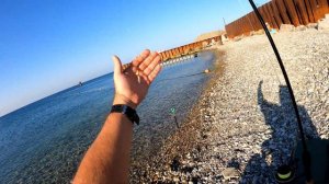 Кефаль Черное море фидер