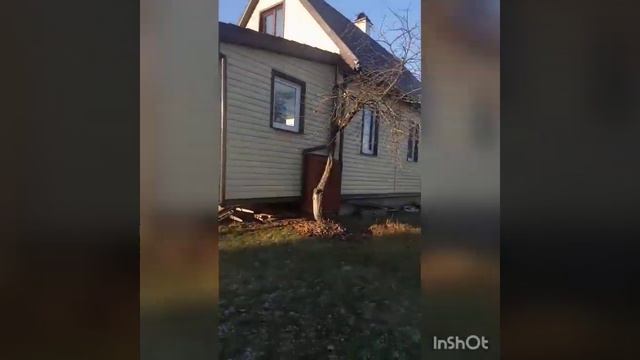 зимняя дача, выходные! смотреть онлайн