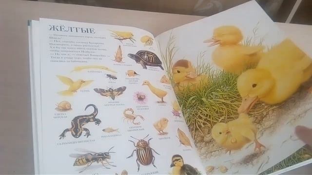 Большой атлас животных. Издательство Стрекоза. смотреть онлайн