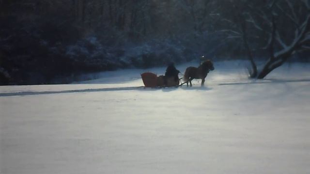 ЛОШАДЬ ВЕЗЕТ САНИ смотреть онлайн