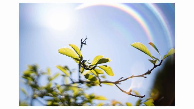 PENTAX-FA 50mm f/1.4 Classic - The crazy cool rainbow lens! смотреть онлайн