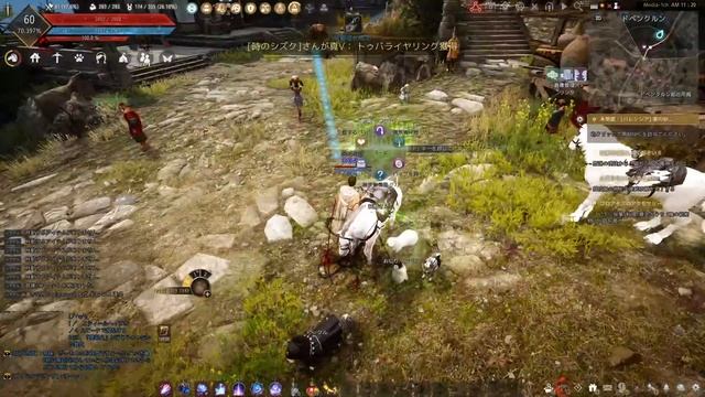 【黒い砂漠】#102 久しぶりの狩り～無限POT素材集め～配信 смотреть онлайн