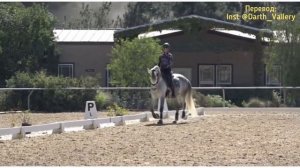 Принимание. Обучение лошади