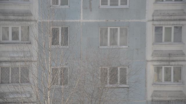 DSC_0871 смотреть онлайн