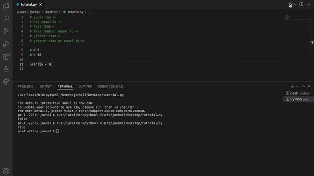 Beginners Guide to Python #4 - Conditions & If Statements смотреть онлайн