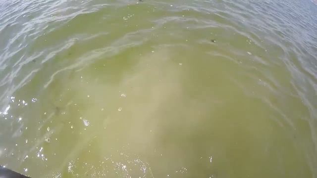 ??FIND GOLD IN 6 HOURS. Underwater Metal Detecting. смотреть онлайн