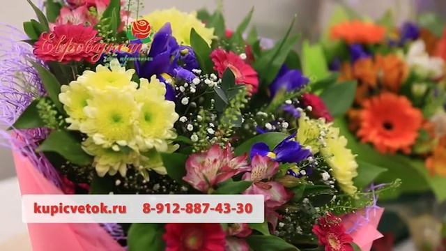 реклама 2017 - салон на Площади Дружбы смотреть онлайн