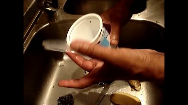 Bonsai: Mango Trees Bonsai; How To Grow Bonsai Mango Trees From Seeds  Part 1 | Mikbonsai