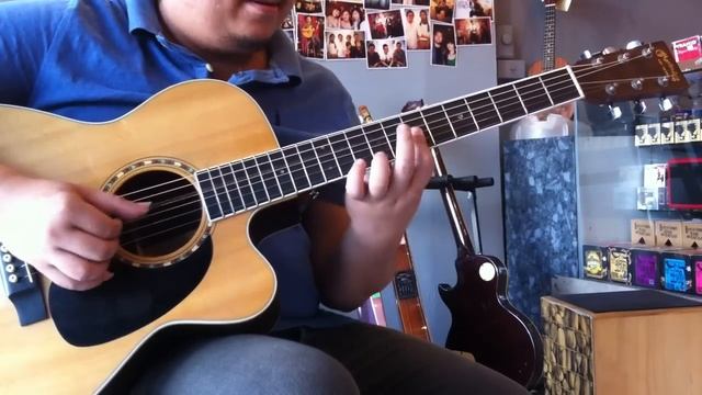 MARTIN JC-16RGTE Premium смотреть онлайн