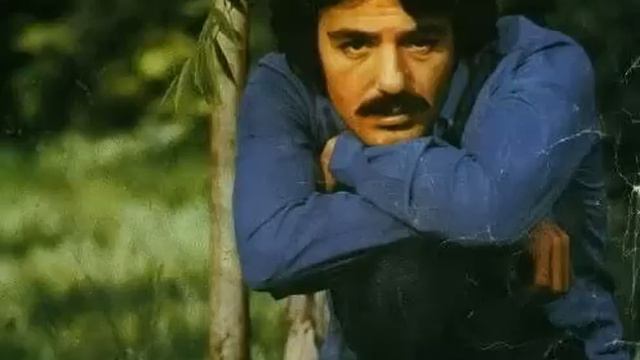 Ferdi Tayfur Bana Sor