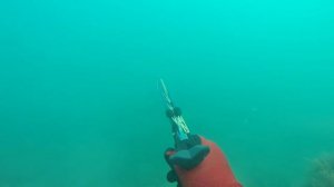 ПОДВОДНАЯ ОХОТА НА ЛОБАНА