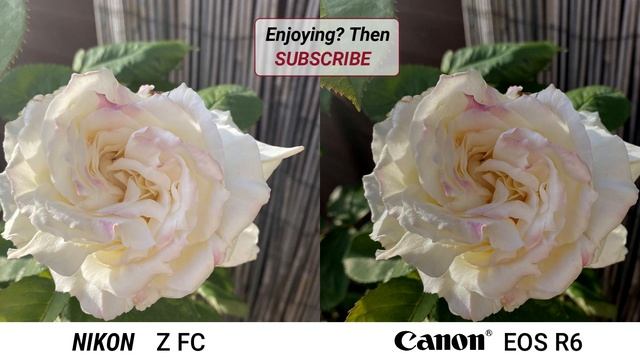 Nikon Z FC VS Canon EOS R6 Camera Test Comparison | Nikon WINS! смотреть онлайн