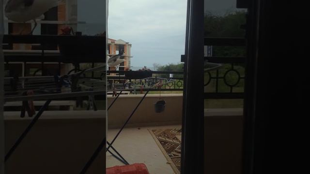 Баклан на лоджии смотреть онлайн