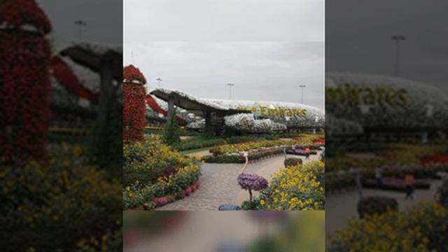 Dubai/Mirakle Garden. САД ЦВЕТОВ, САД ЧУДЕС В ПУСТЫНЕ !! СКАЗКА ИЗ ЦВЕТОВ !! ОАЭ смотреть онлайн