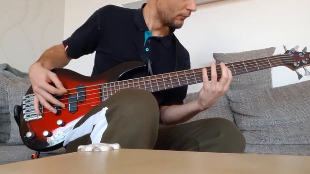 Bobr - Ať žije král bass cover (Andrew CZ) смотреть онлайн