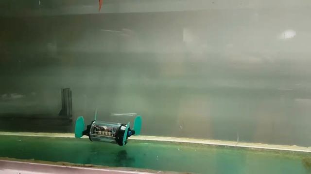 Underwater Robot - Closed-loop Motor Control - TalTech (Tallinn University Of Technology)