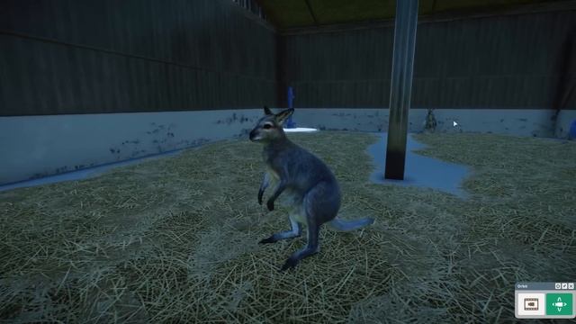 ▶ Complete Overview of Planet Zoo Grasslands Animal Pack: All Animals & Pieces смотреть онлайн