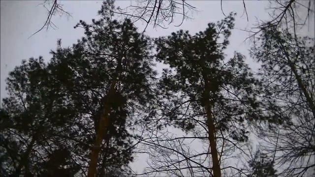 Cнегопад в городе Волжский Волгоградской области смотреть онлайн
