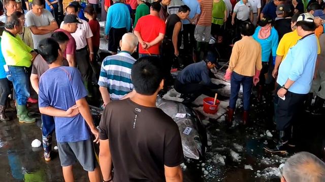 Bid A Big Harvest of BLUEFIN TUNA смотреть онлайн