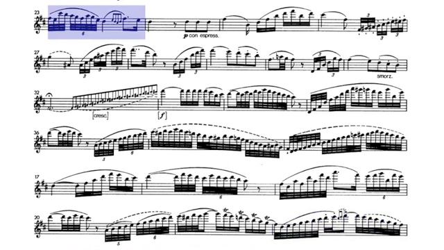 🎼 F. KUHLAU - Solo FLUTE Fantasie D major (I. Adagio) [Op. 38, Nº 1] - (Sheet Music Scrolling) смотреть онлайн