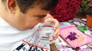 ХЛОРОЗ КАЛИБРАХОА ЭФФЕКТИВНЫЙ СПОСОБ найти причину.