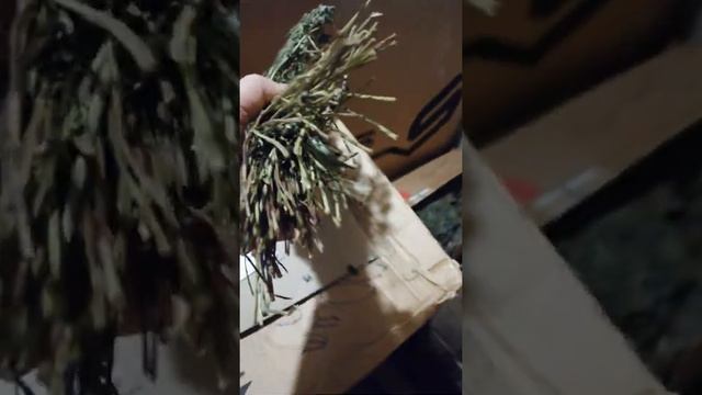 Кулинарные Испытания