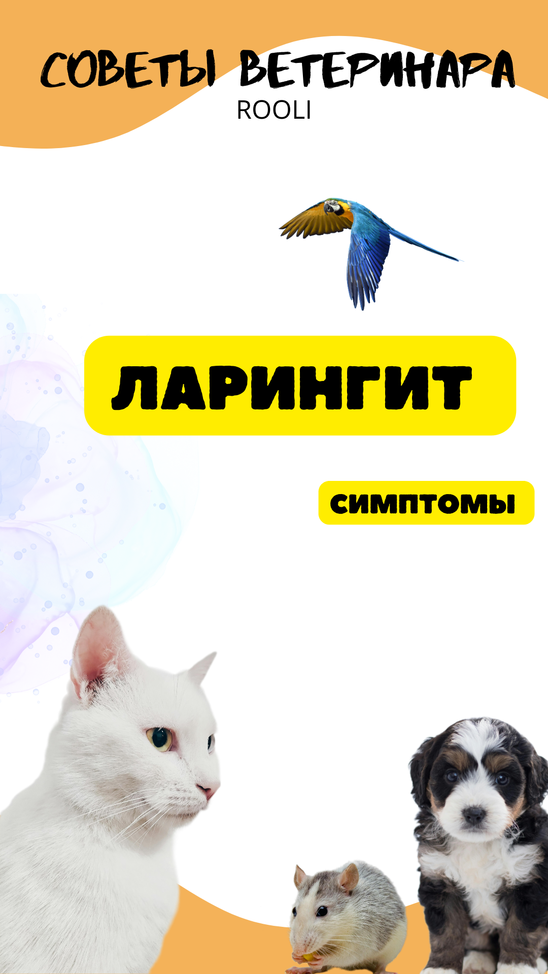 Ларингит у питомца. Симптомы заболевания горла у домашних питомцев - кошек, собак, крыс. смотреть онлайн