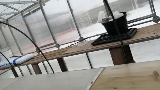 Смотреть всем у кого есть теплица без обогрева, и есть желание вырастить в ней рассаду. смотреть онлайн