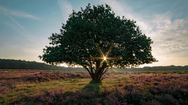 10 минут расслабляющей музыки для медитации, отдыха или сна смотреть онлайн