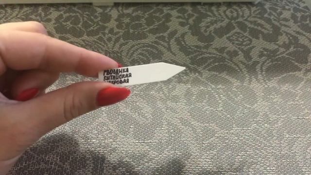 Гвоздика китайская из семян 2020. Посев в кокосовый субстрат. смотреть онлайн