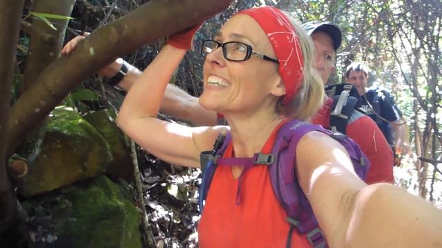 Lindeman Pass - Blue Mountains National Park, Australia смотреть онлайн