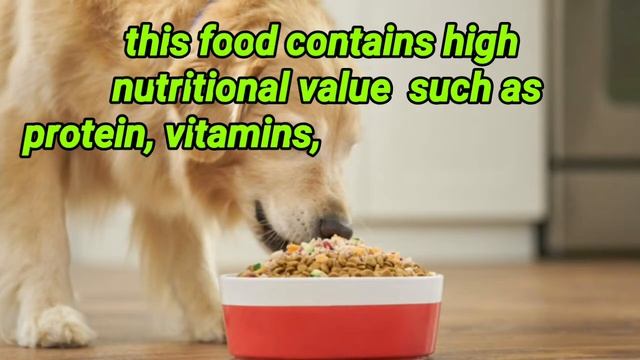 Farmina N&D dog food review. смотреть онлайн