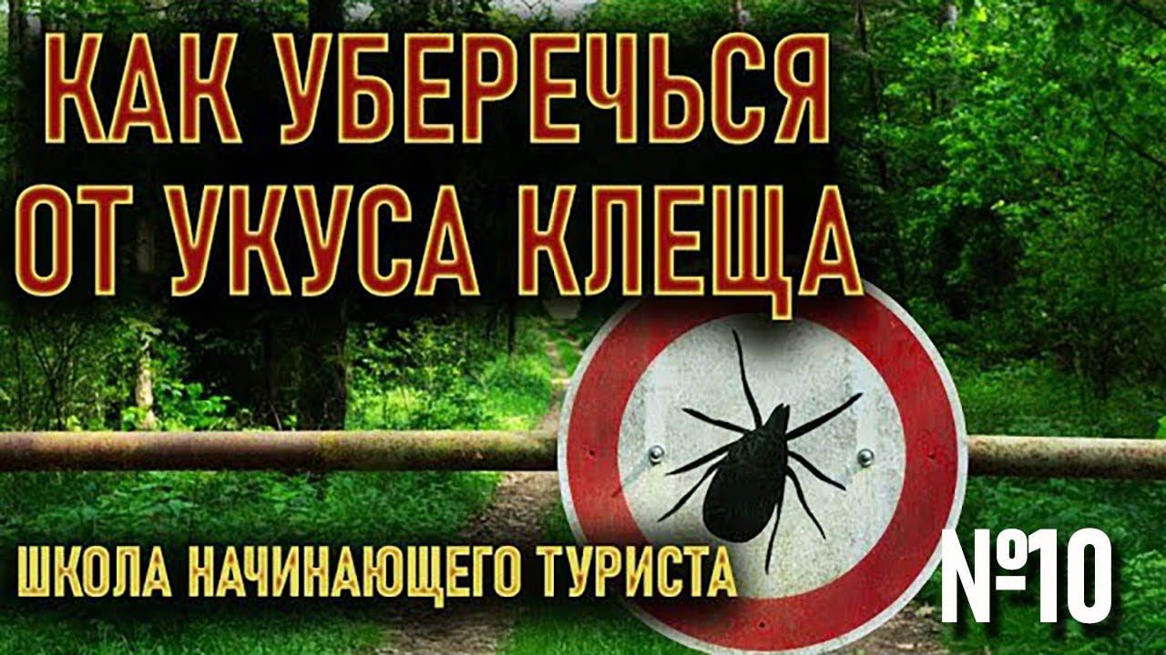 Как уберечься от укуса клеща! школа начинающего туриста №10 профилактика энцефалитного смотреть онлайн