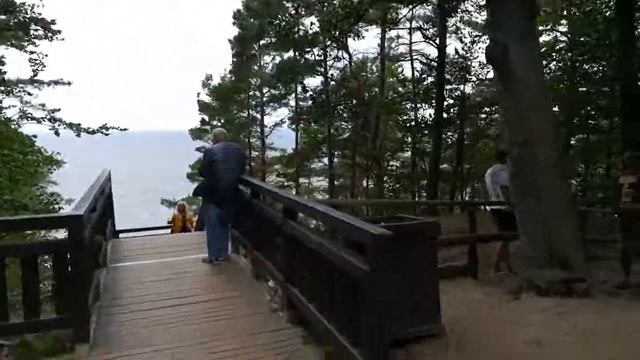 Мендзыздрое, вышел из дикого леса на море. смотреть онлайн