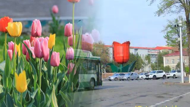 Шырайлы Шымкент шаһары смотреть онлайн