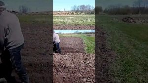 Как правильно нарезаются борозды мотоблоком