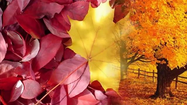 Осень..Осень..Ты прекрасна!!! смотреть онлайн