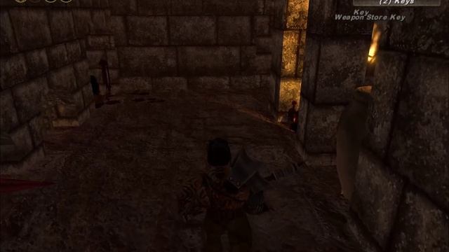 Severance Blade of Darkness Barbarian Gameplay Level 11 Forge of Xshathra смотреть онлайн